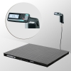 Весы платформенные с печатью этикеток 4D-PМ-15/15-2000-RL